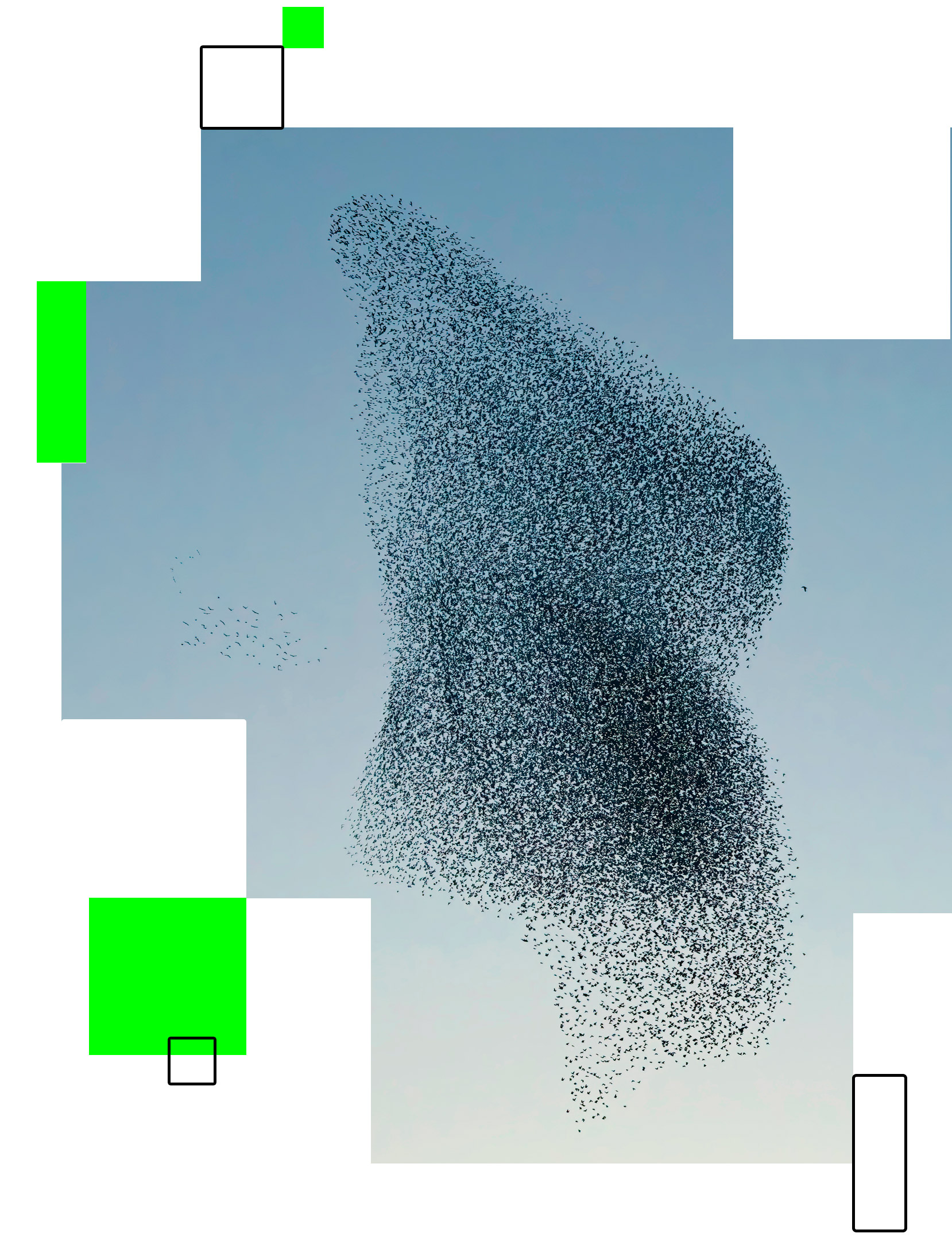 rendez-vous de horizon social 2040 - vol d'oiseaux