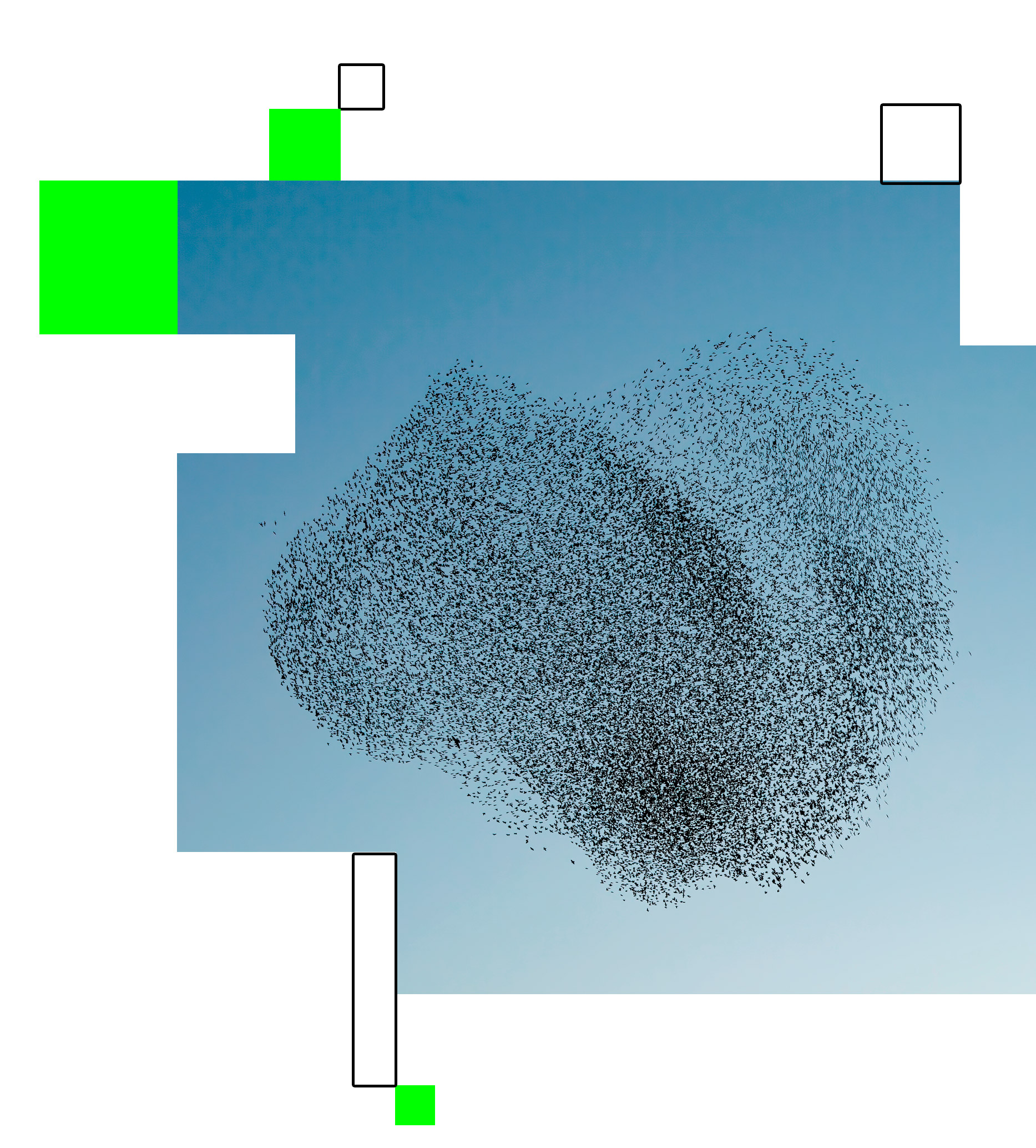 les collectifs de horizon 2040 - vol d'oiseaux