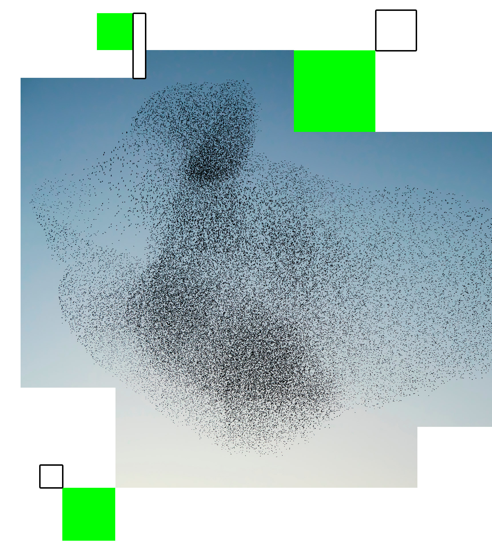 ambition de horizon social 2040 - vol d'oiseaux